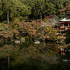 京都の世界遺産「醍醐寺」へ。紅葉の見ごろにはまだ早いけど色づき始めた弁天堂の景観が最高だった。
