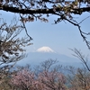 丹沢・塔ノ岳のＧＷは混雑して登山道でのすれ違いもたいへんでした