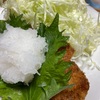 【思いついたら即行動！】おろしとんかつで乾杯した件