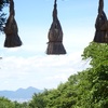 檜原神社から見る二上山