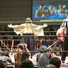 DDT Special 2017