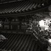 大和松尾寺三重塔（その３）