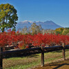 木曽御岳山と紅葉