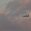 飛行機(ANA)旋回｜プロペラ機だと...