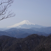 【丹沢】大室山、西丹沢の静寂に包まれた森を登る旅