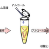 塩とアルコールは順番も大事