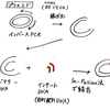 05_iGEMの実験の全体像(図がメイン)