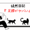 週末はグッタリ