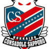 Salaries of J.League Consadole Sapporo Players in 2021