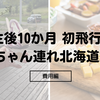 生後10か月 赤ちゃん連れ北海道旅行【費用編】