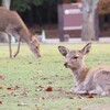 さーて、本日のブログ担当さんは…!!