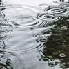 梅雨の湿気は人を殺す【ザ・パシフィック】