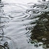 梅雨の湿気は人を殺す【ザ・パシフィック】