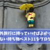 海外旅行に持っていけばよかった！後悔しない持ち物ベスト11をブログで解説！