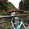 中禅寺湖周辺まで紅葉ライド