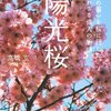 本  陽光桜   高橋  玄   ２０１５年  t