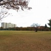 武蔵野中央公園とグリーンパーク緑地（東京都武蔵野市）