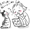 花かつお美味しい
