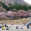 桜のアルプスあづみのセンチュリーライド　120キロの部に参加した