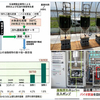 藻類バイオマスエネルギー