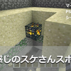 マインクラフト【PS Vita／PS3 おすすめ（？）シード #8】水上の村と、いい（？）スケさんスポナー 