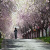 “うわでぇのしだれ桜”を見に行く・・・（福島市）