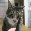 アユですよ