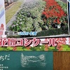 「なかよし花壇」の花苗の定植をする