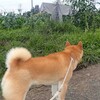 雨の日は、にぎわいます…