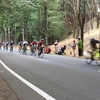 宇都宮自転車王国2018観戦攻略法