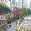 曇りたまに雨