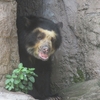 真夏の天王寺動物園　２０２４