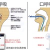 妊娠中のお母さん、妊娠を望んでいる方へ【続き】