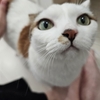 〈さしゃ〉トライアル→卒業