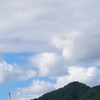 山本太郎れいわ代表辞任等の波紋