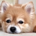 ponta-happyブログ