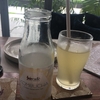 我が家の健康その②KOMBUCHA