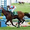 競馬初心者必見☆馬券予想🔥〜函館2歳ステークス〜
