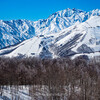 待望の寒波が到来、HAKUBA VALLEY10スキー場は本日12月23日全てオープン！