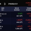 日経下落も保有株は難を逃れる