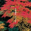 何もない頃に生まれ だからこそ今に残る 何もない頃に生まれ だからこそ意味がある【9月26日】ケツメイシ【today's music history】