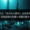 海底の「ロストシティ」、生命誕生の謎と深海採掘の危機に迫る