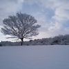 雪女郎はどこいった