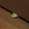 そばにいさせて　･･･’18.9.9のこと。