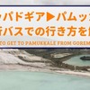 【驚愕のサービス】カッパドギアからパムッカレ！トルコ夜行バスの予約方法・治安・乗り方は…？　