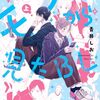 BL『モブから見たBL』について語りたい