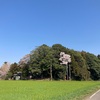 篠塚稲荷神社古墳  小山市大本