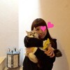2016年、本年もどうぞ、宜しくお願い致します！