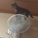 NESUkunのゲームおもひで