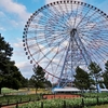 夜のスイセン畑ってムードあるよなって／都立葛西臨海公園にて